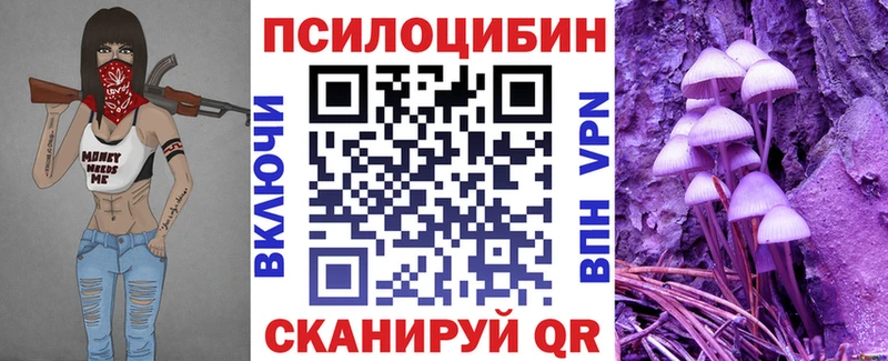 Псилоцибиновые грибы Magic Shrooms наркотики Чернушка